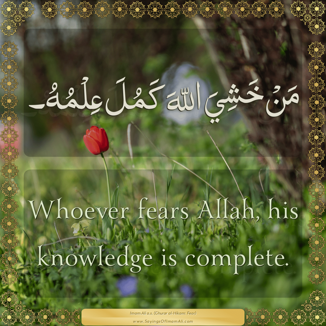 Whoever fears Allah, his knowledge is complete.